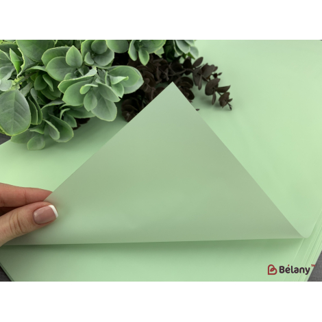 Калька для цветов "Simple matte" #22
