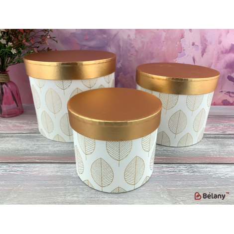 Коробка для цветов "Gold leaf" белая