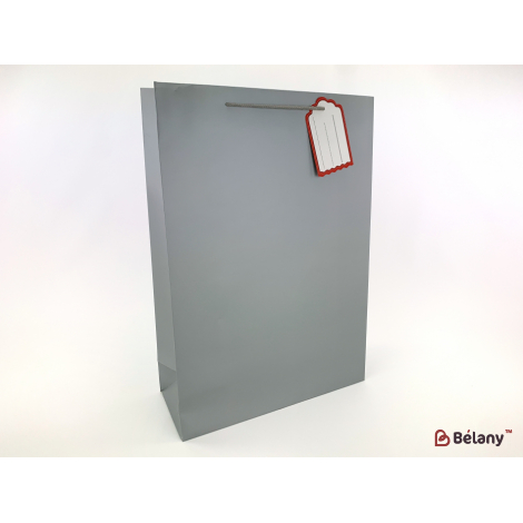 Подарочные пакеты "The Color." серебро XL