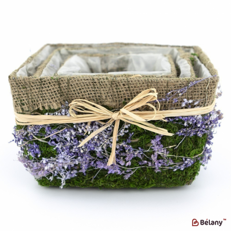 Набір кашпо "Forest" фіолетовий