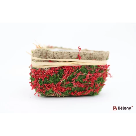 Набір кашпо у формі серця "Forest" червоний - Фото