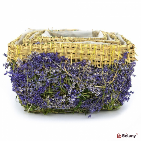 Набір кашпо "Forest" фіолетовий