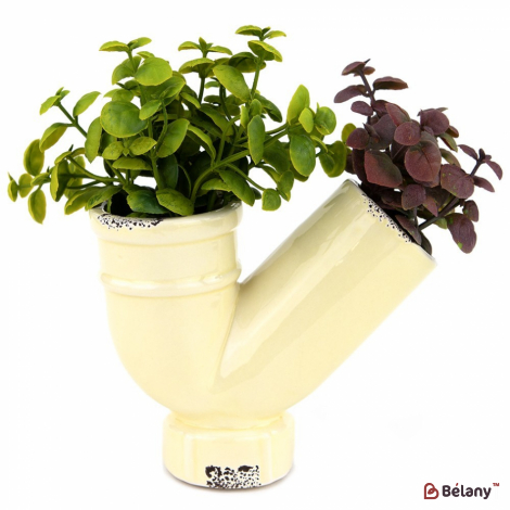 Суккуленты в вазочке #1