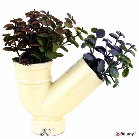 Суккуленты в вазочке #2