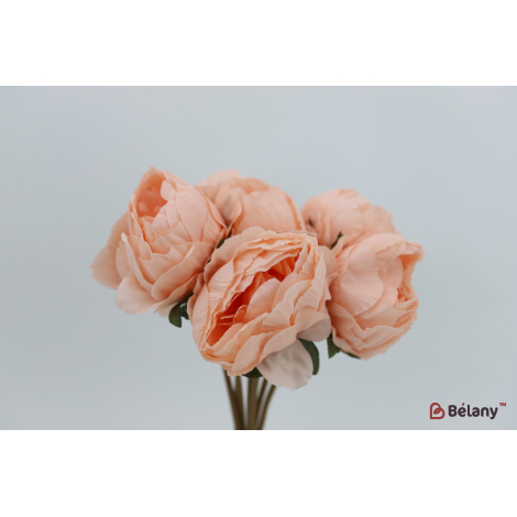 Букет пионов 7 веток "Peonies" персиковые