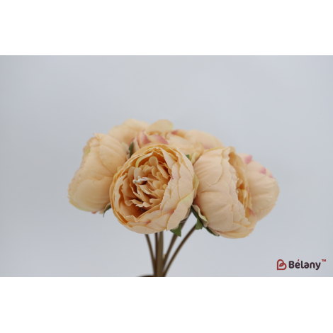 Букет пионов 7 бутонов "Peonies" кремовый