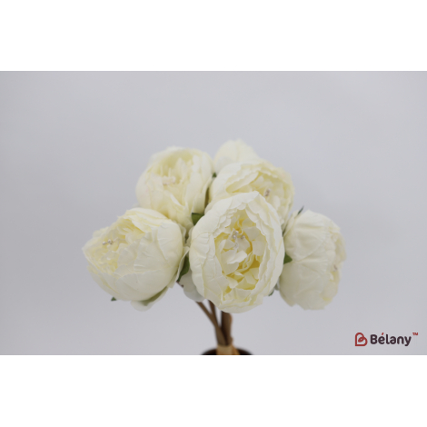 Букет пионов "Peonies" белые