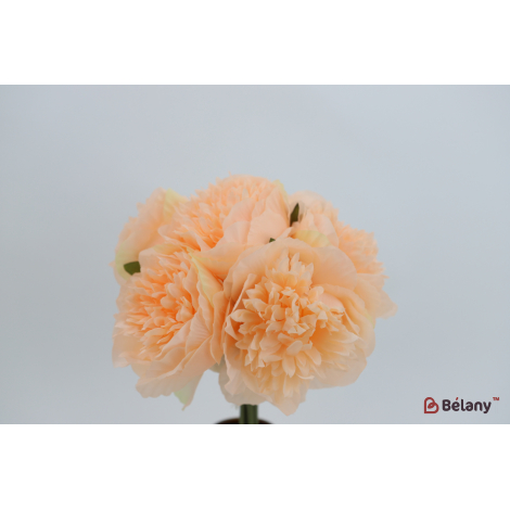 Букет пионов "Pionie for you" персиковые