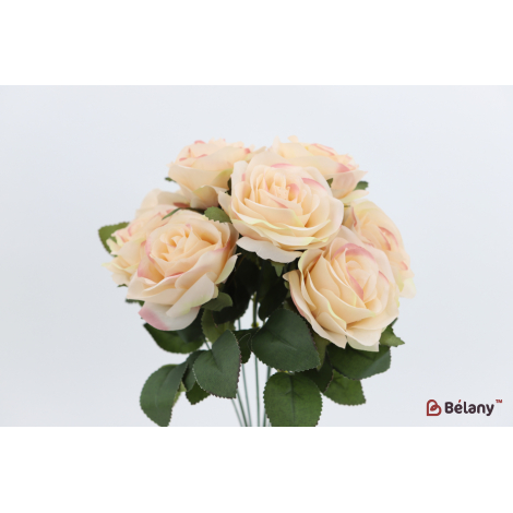 Букет роз 9 бутонов "Roses" кремовые