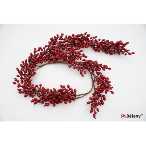 Свисающая ветка с ягодами шиповника