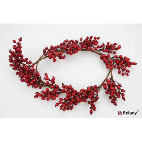 Свисающая ветка с ягодами шиповника M