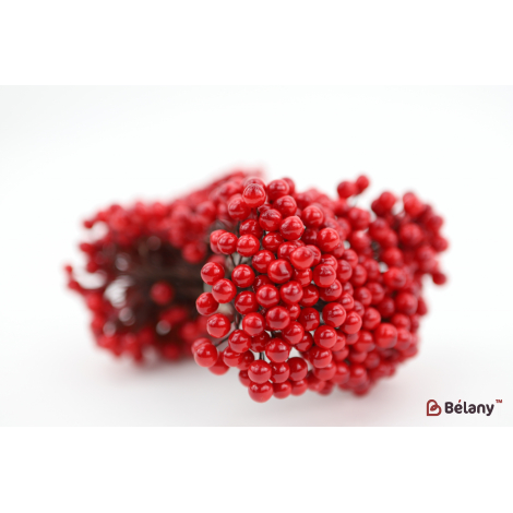 Ягода на гілочці червона