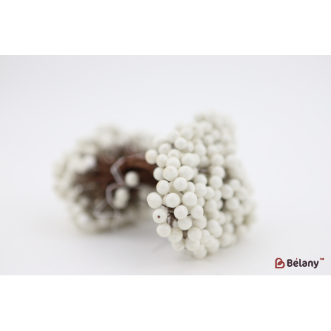 Ягода на гілочці біла