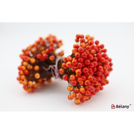 Ягода на гілочці червоно-жовта