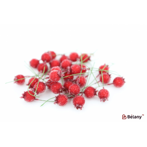 Ягода шипшини цукрова червона