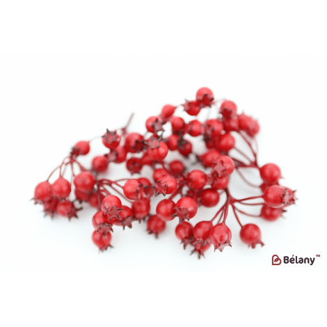 Декоративні плоди гранату "Red"