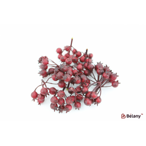 Декоративні плоди гранату "Bordeaux"