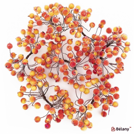 Ягоди морозні жовто-червоні на дроті