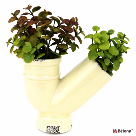 Суккуленты в вазочке #3