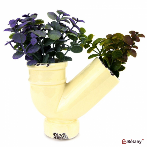 Суккуленты в вазочке #4