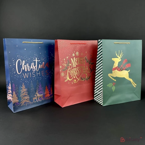 Новорічний пакет "Christmas wishes" L Мікс