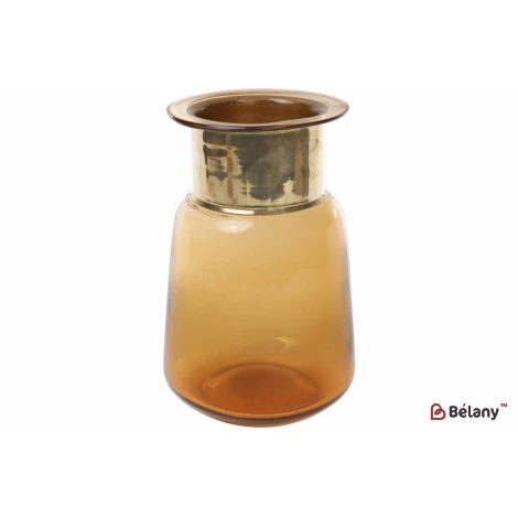 Стеклянная ваза "Delfinas"