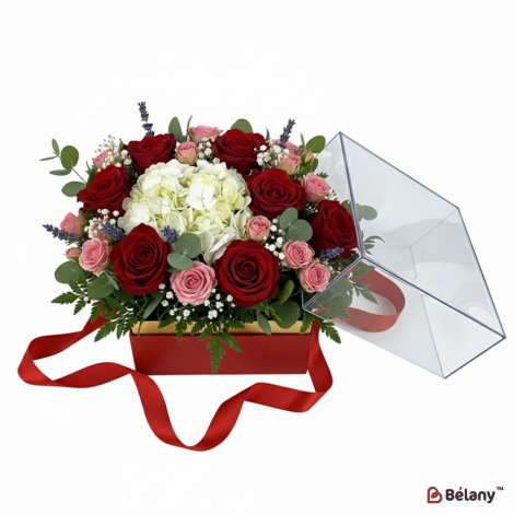 Коробка з кришкою з оргскла "Wonder" червона