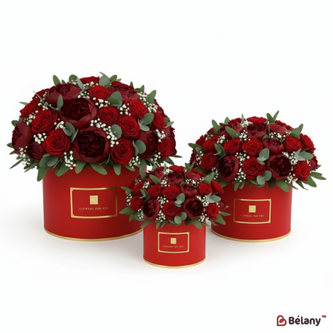 Круглая коробка "Monde" красная