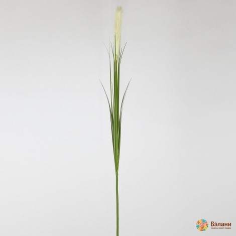 Гілка "Reed" молочна