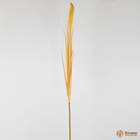 Гілка "Reed" золотиста