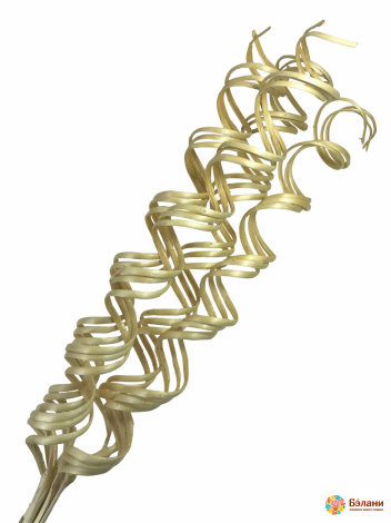 Декоративна гілка "Спіраль"