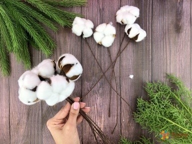 Букет из веток хлопка "Cotton" на 10 веток