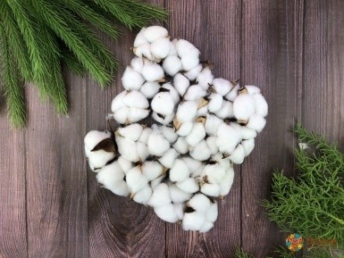 Головки хлопка "Cotton" 20шт/уп