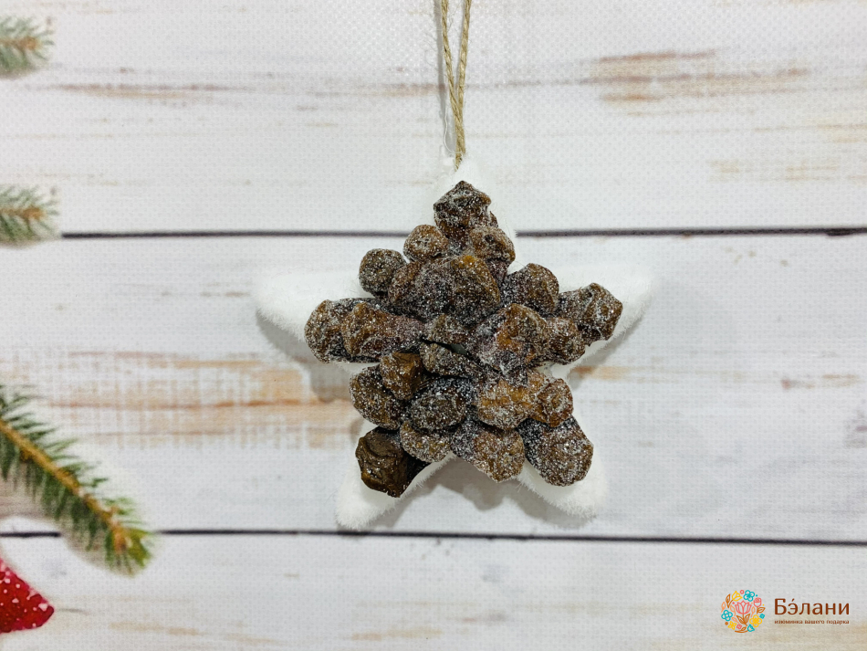 Елочная игрушка "Звёздочка с шишками"