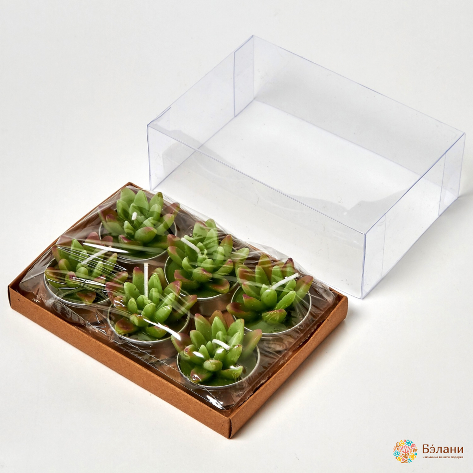 Свечи "Little Cactus №1"