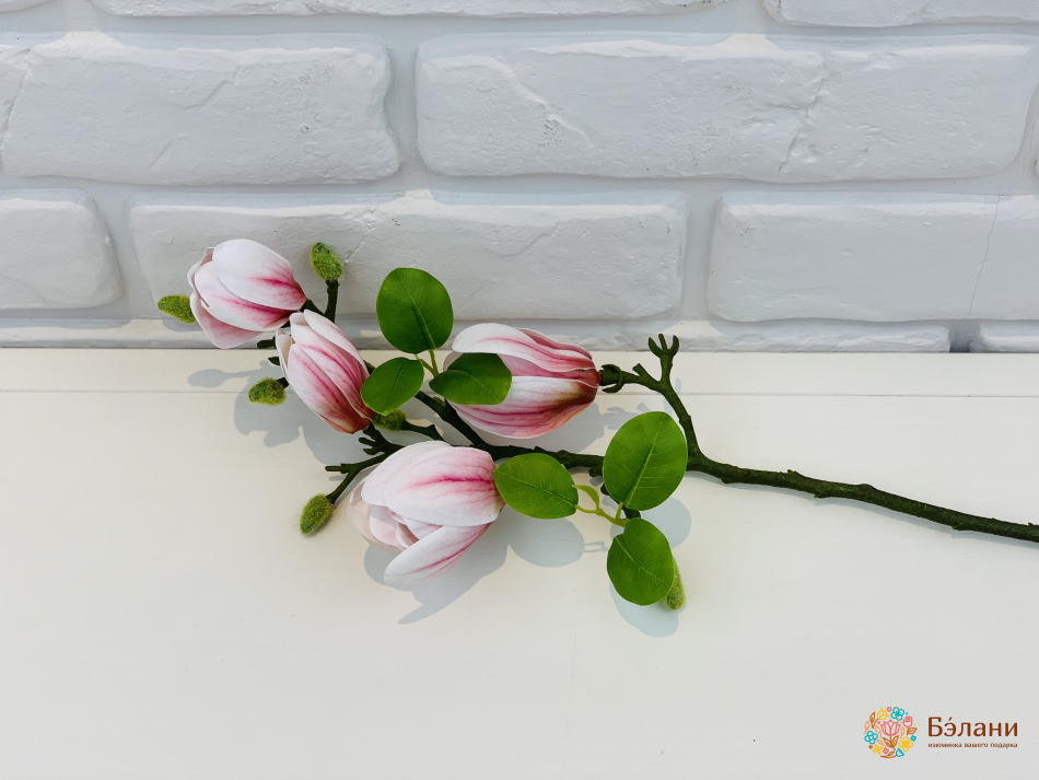 Ветка магнолии бело-сиреневая
