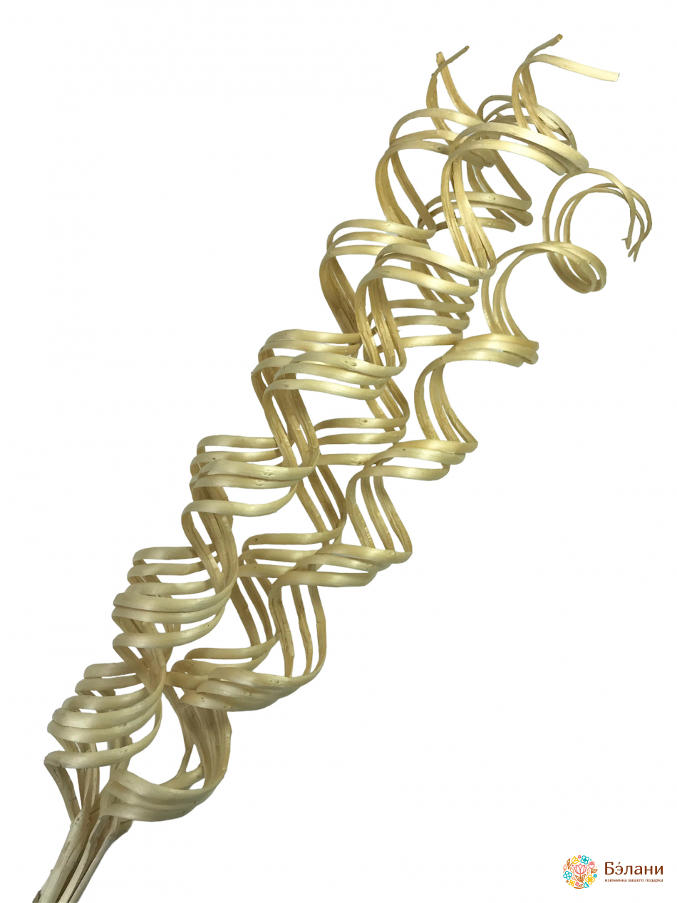 Декоративная ветка "Спираль"