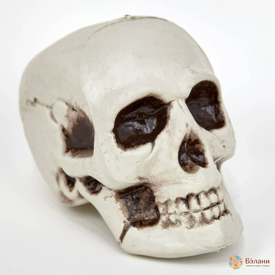 Декор "Череп" L