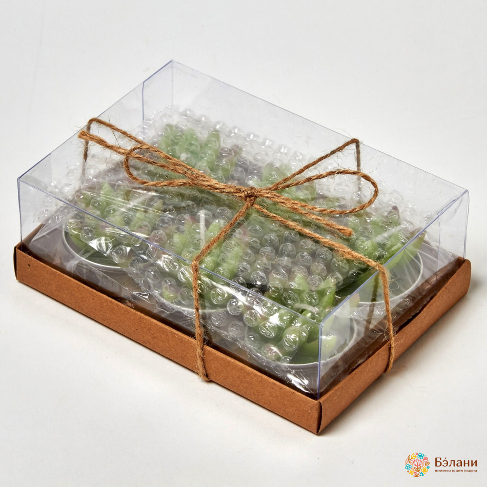 Свечи "Little Cactus №1" | 2