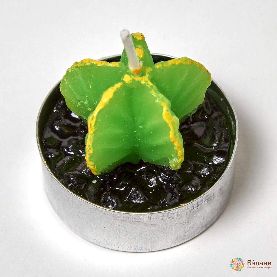 Свечи "Little Cactus №2" mix | 5