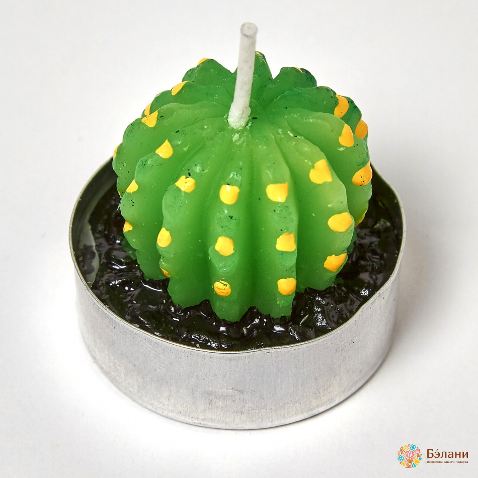 Свечи "Little Cactus №2" mix | 4