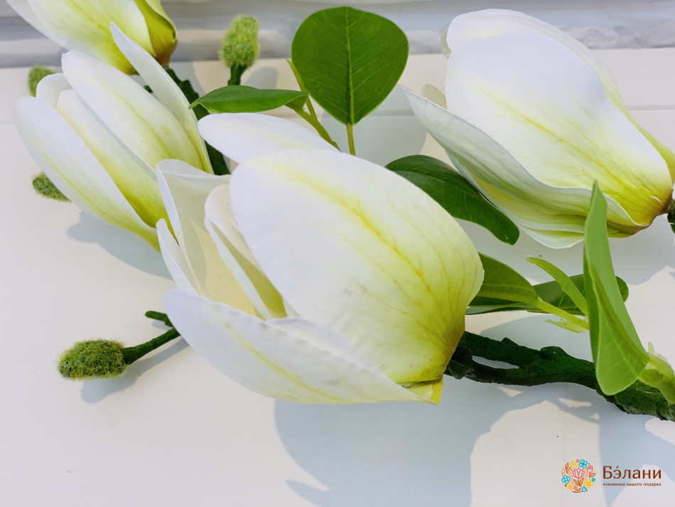 Ветка магнолии бело-желтая | 2