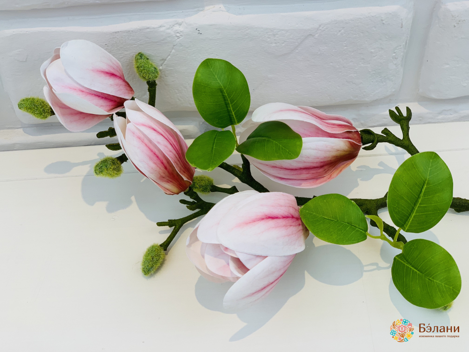 Ветка магнолии бело-сиреневая | 2