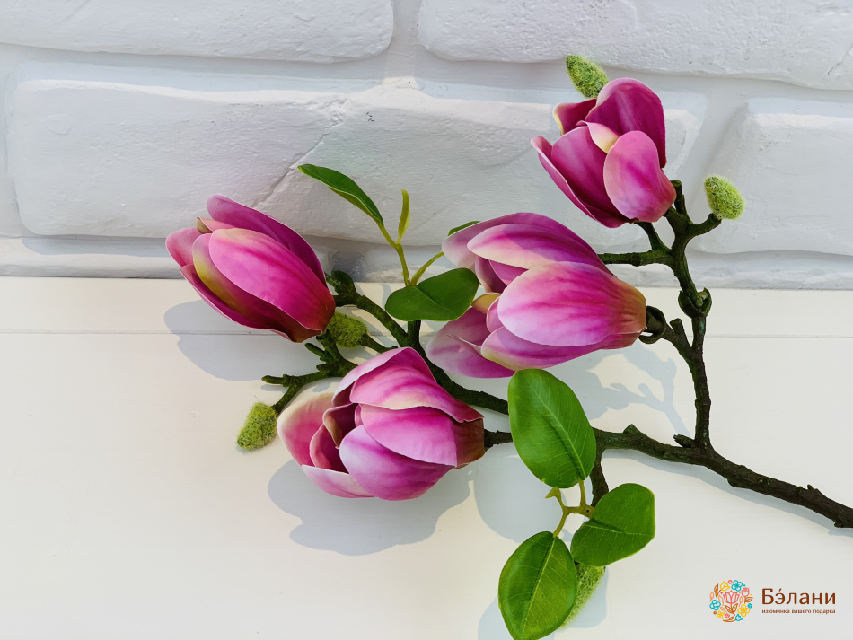 Ветка "Магнолии" фиолетовая | 3